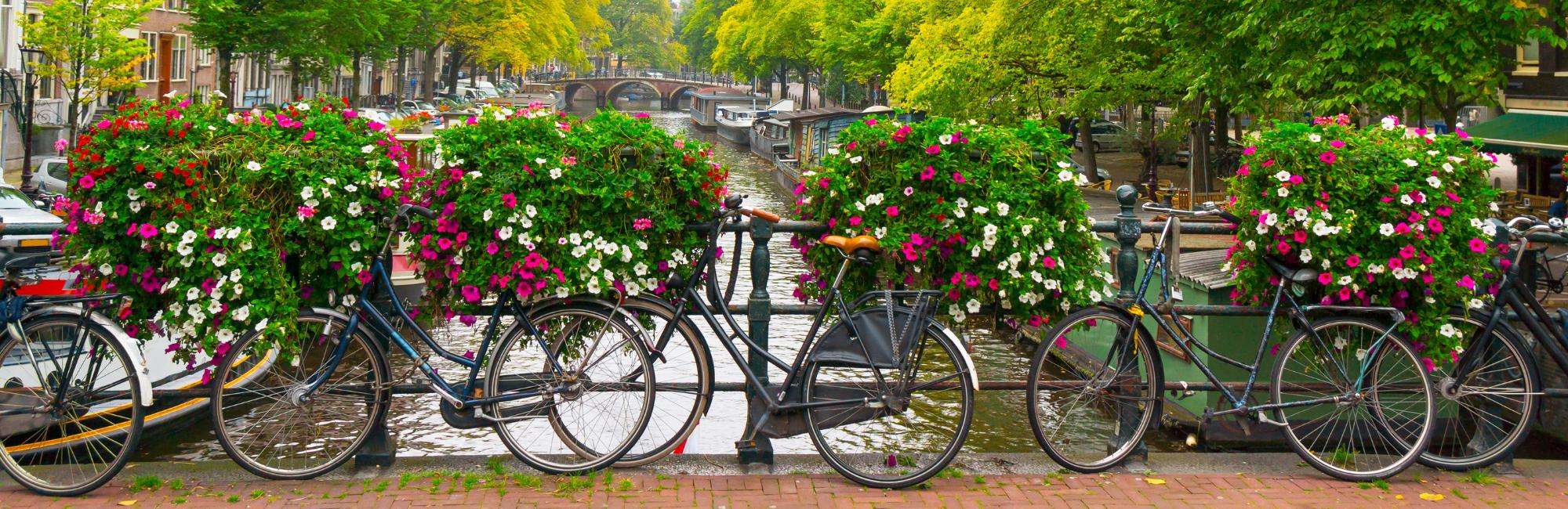 Vasi di fiori su uno dei ponti che caratterizzano il canale di Amstel ad Amsterdam, una serie di biciclette sono fermate alle maniglie