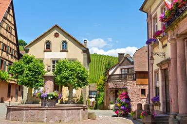 Villaggio caratteristico della regione dell'Alsazia, al centro una fontana con fiori colorati