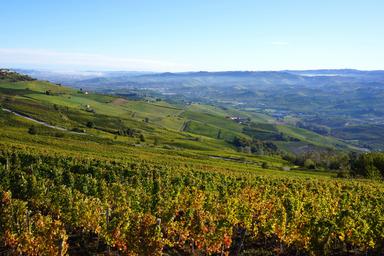 L'autunno in Piemonte, le Langhe con le sue vigne che scendono a valle
